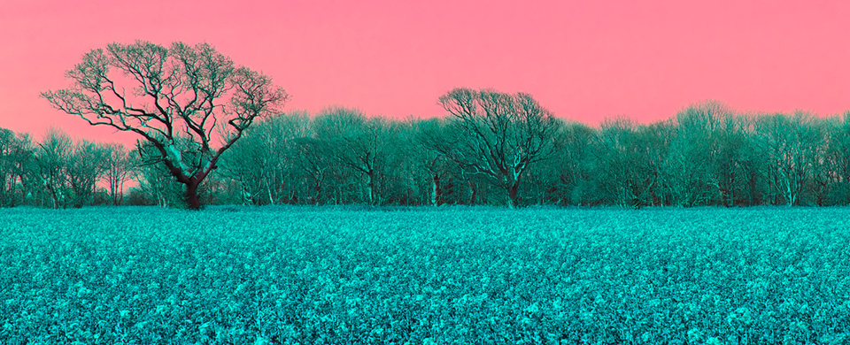 Alternative reality. Surreal pink sky landscape in AI vision
