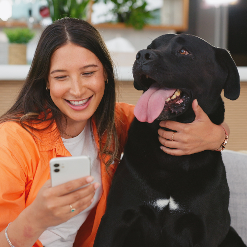 How to Use AI to Become a Better Fur Parent