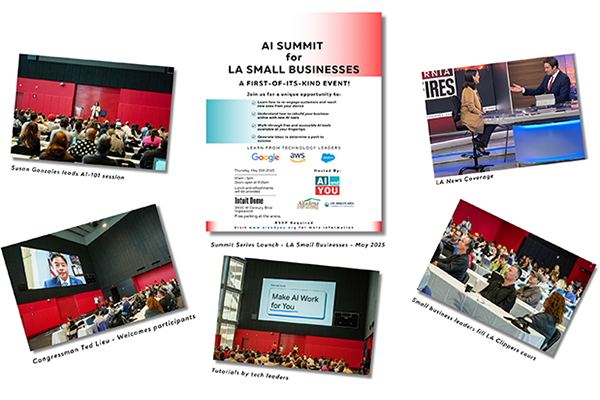 A series of interactive AI Summits with communities and policymakers.