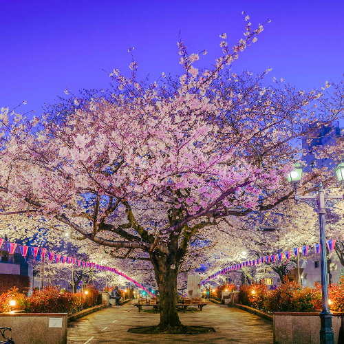The 4 best AI image generators of 2025 — compare their photos