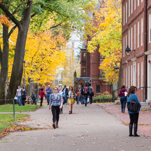 LinkedIn’s top colleges for 2025: Inaugural list shows which schools are prioritizing AI skills right now
