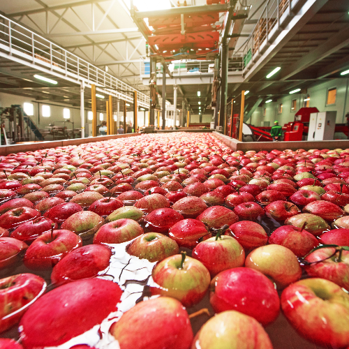 Could This AI Breakthrough Make Our Food Supply Safer Than Ever?